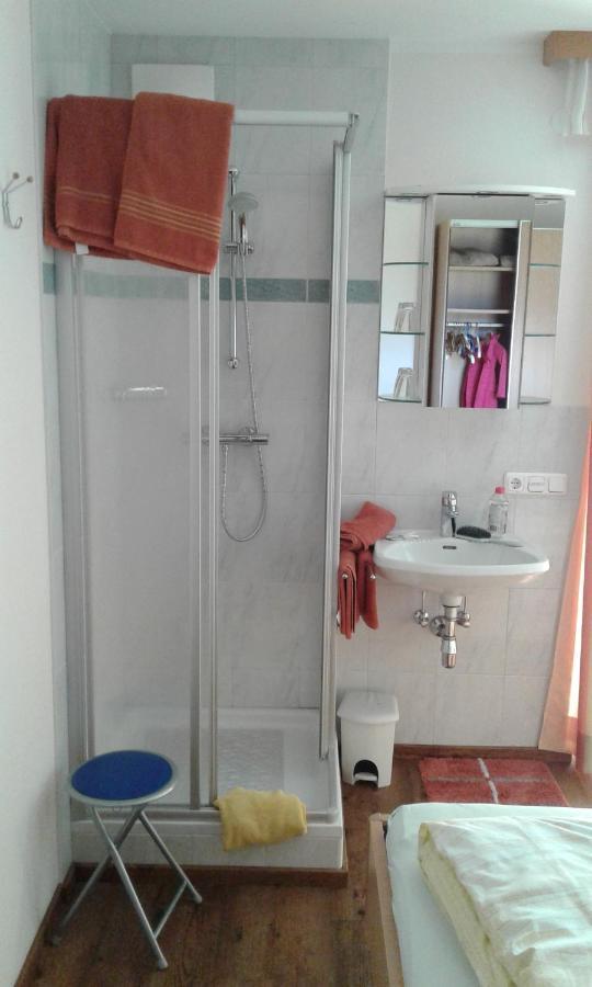 Appartment Steger Klara Mittersill Εξωτερικό φωτογραφία