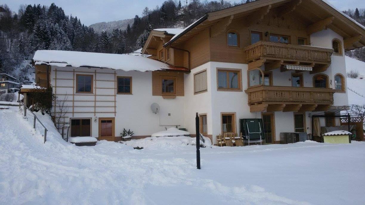 Appartment Steger Klara Mittersill Εξωτερικό φωτογραφία